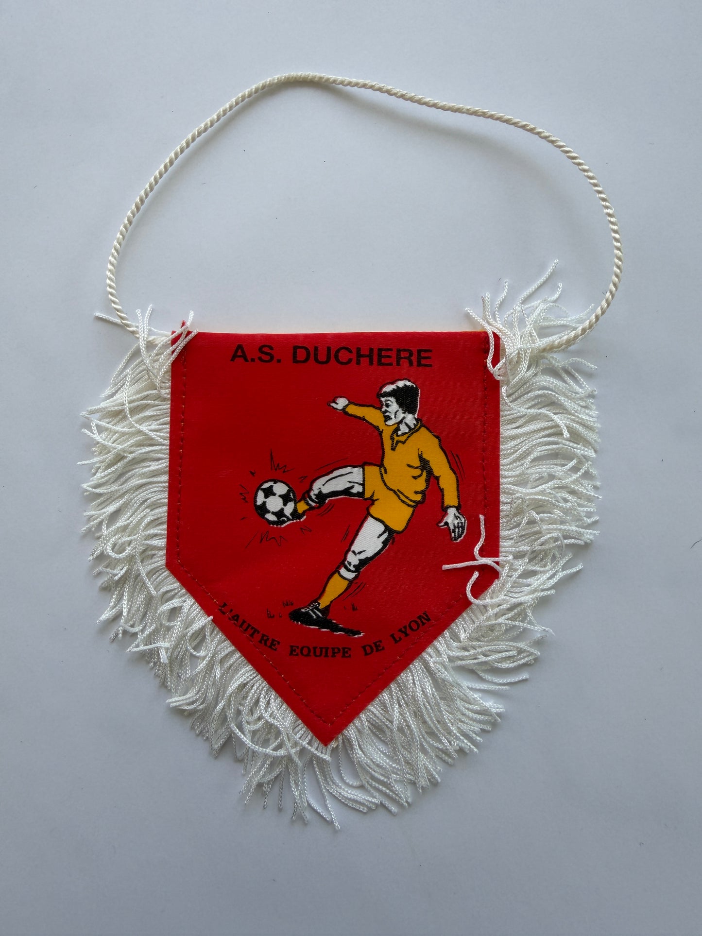 Mfs fanion football As Lyon La Duchere