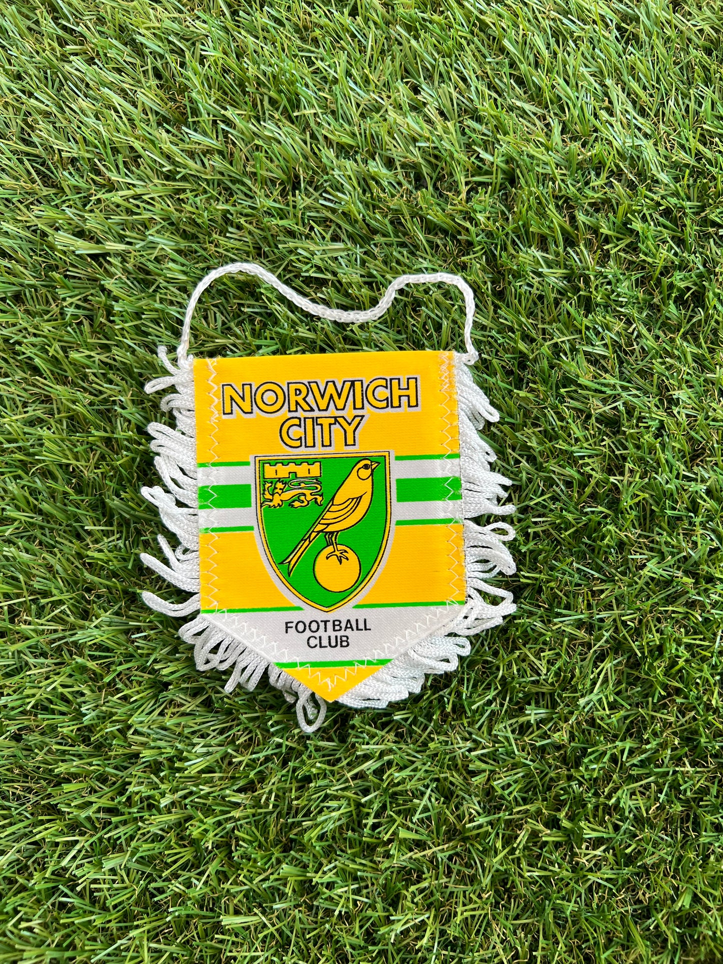 Fanion football Norwich City Fc