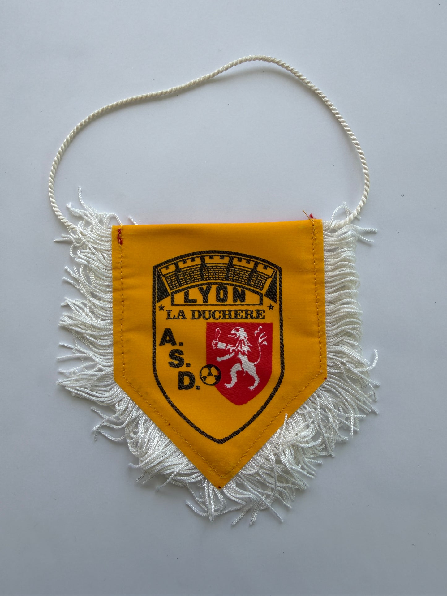 Mfs fanion football As Lyon La Duchere