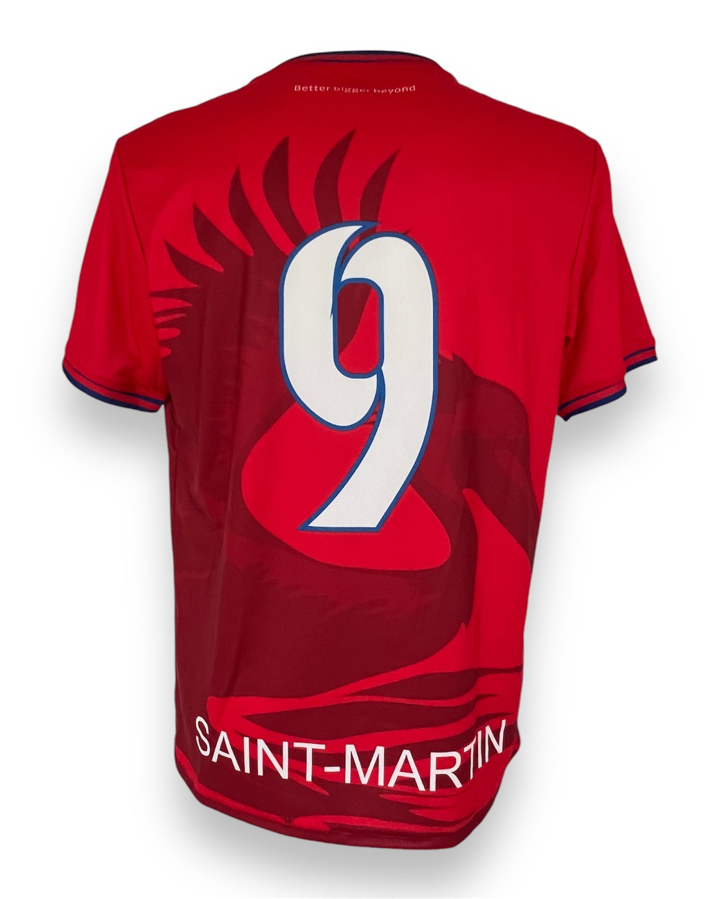 Mfs sélection Saint Martin Insula Sportiva 24/25
